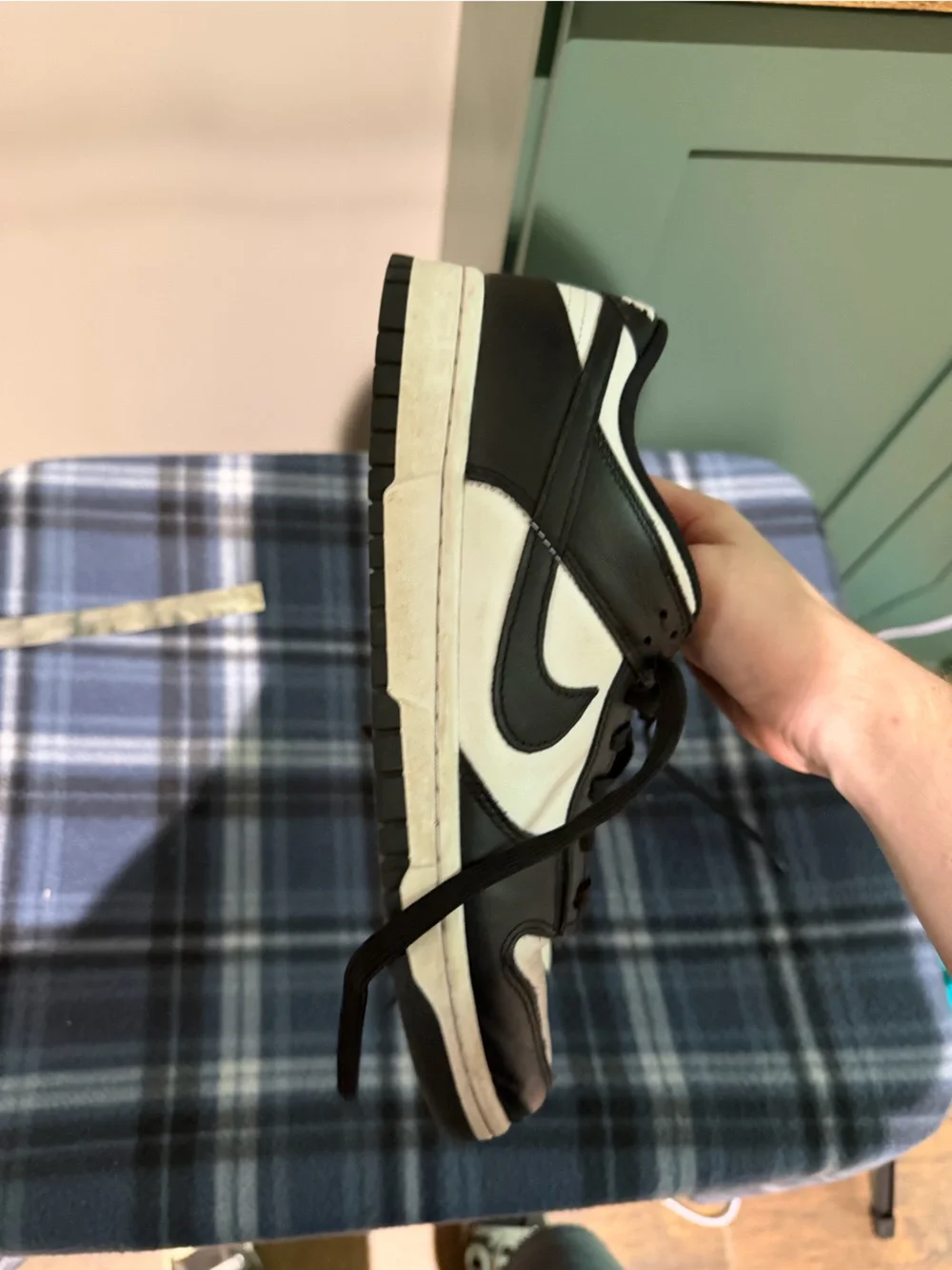 nike dunk low